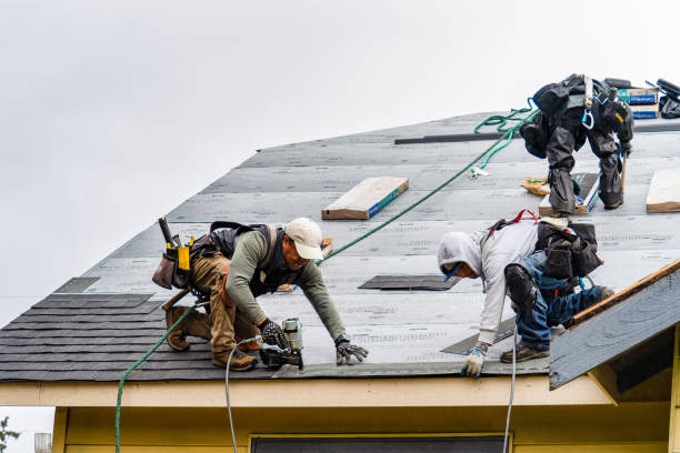 Professional Gutter Installation technician working in Arlington, GA